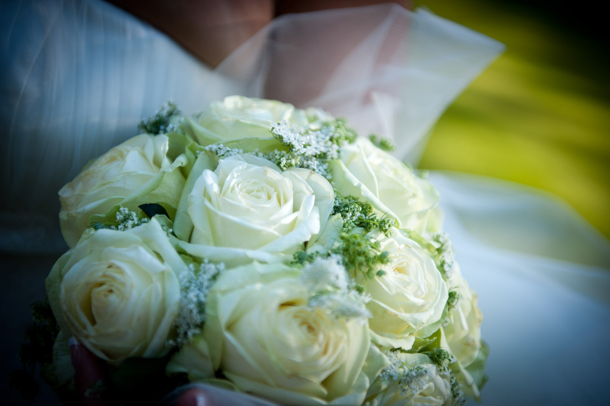 20100619 192300 DSC 2503